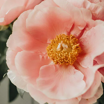 突破网络枷锁：科学上网加速的终极指南与实战技巧