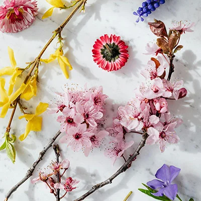 猎豹与锋芒的碰撞：Cartier Clash系列如何重新定义现代珠宝美学