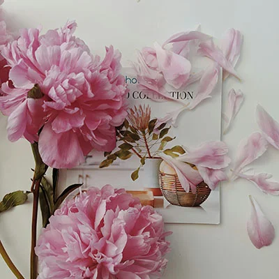 全面剖析 Clash 测试超时问题：原因、解决方案与优化实践