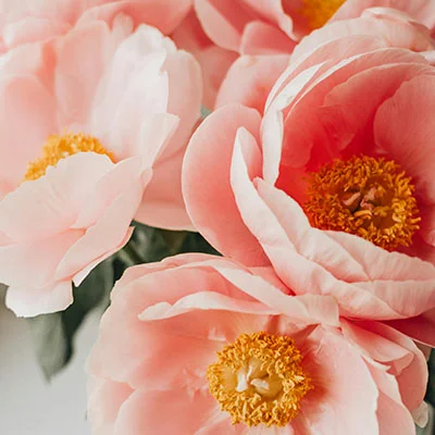 自由之网：深度解析科学上网的技术原理与实践指南