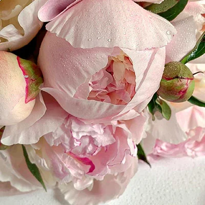 1月10日|21.4M/S，V2ray节点/SSR节点/Shadowrocket节点/Clash节点|免费订阅机场|每天更新免费节点