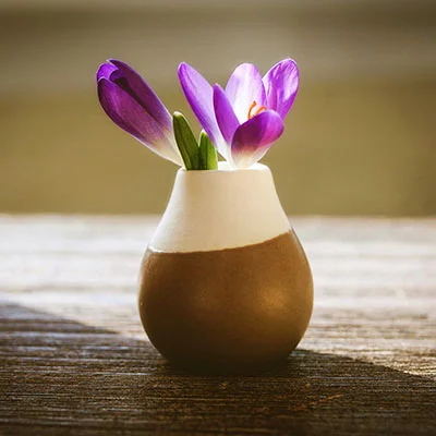 深度掌握v2rayNG面板：从入门到精通的配置全指南