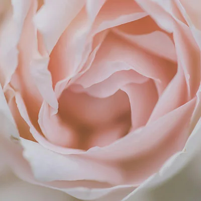 新手制胜宝典：Clash Mini 最强卡组构建与实战全攻略