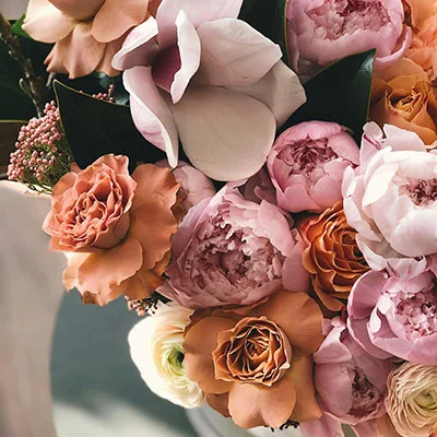 PP助手科学上网全攻略：解锁全球网络资源的终极指南