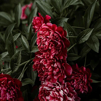 科学上网：法律风险与合理使用指南