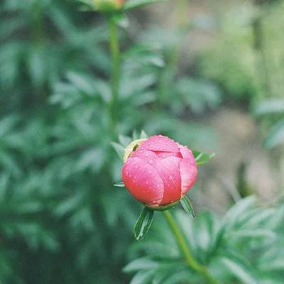 2020年Quantumult共享账号全攻略：从入门到精通的高效使用指南