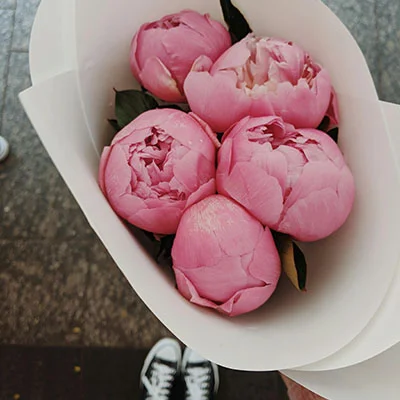 掌握网络自由：详解12小时自动更新V2ray二维码的安全实践